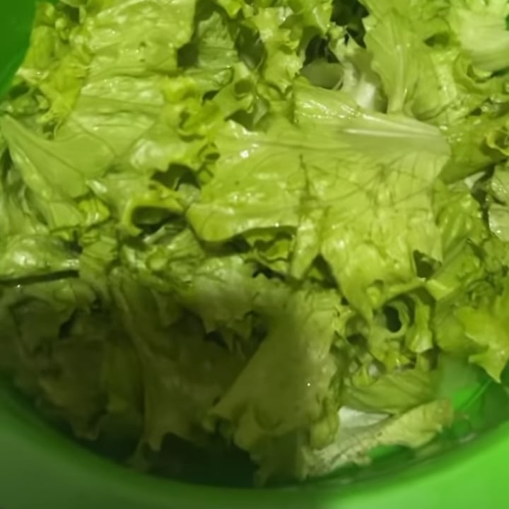 Foto da Salada de preguiçoso  - receita de Salada de preguiçoso  no DeliRec