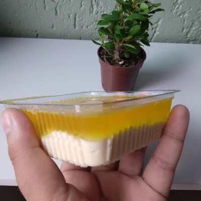 Recipe of Passion Fruit Mousse with Gelatin on the DeliRec recipe website