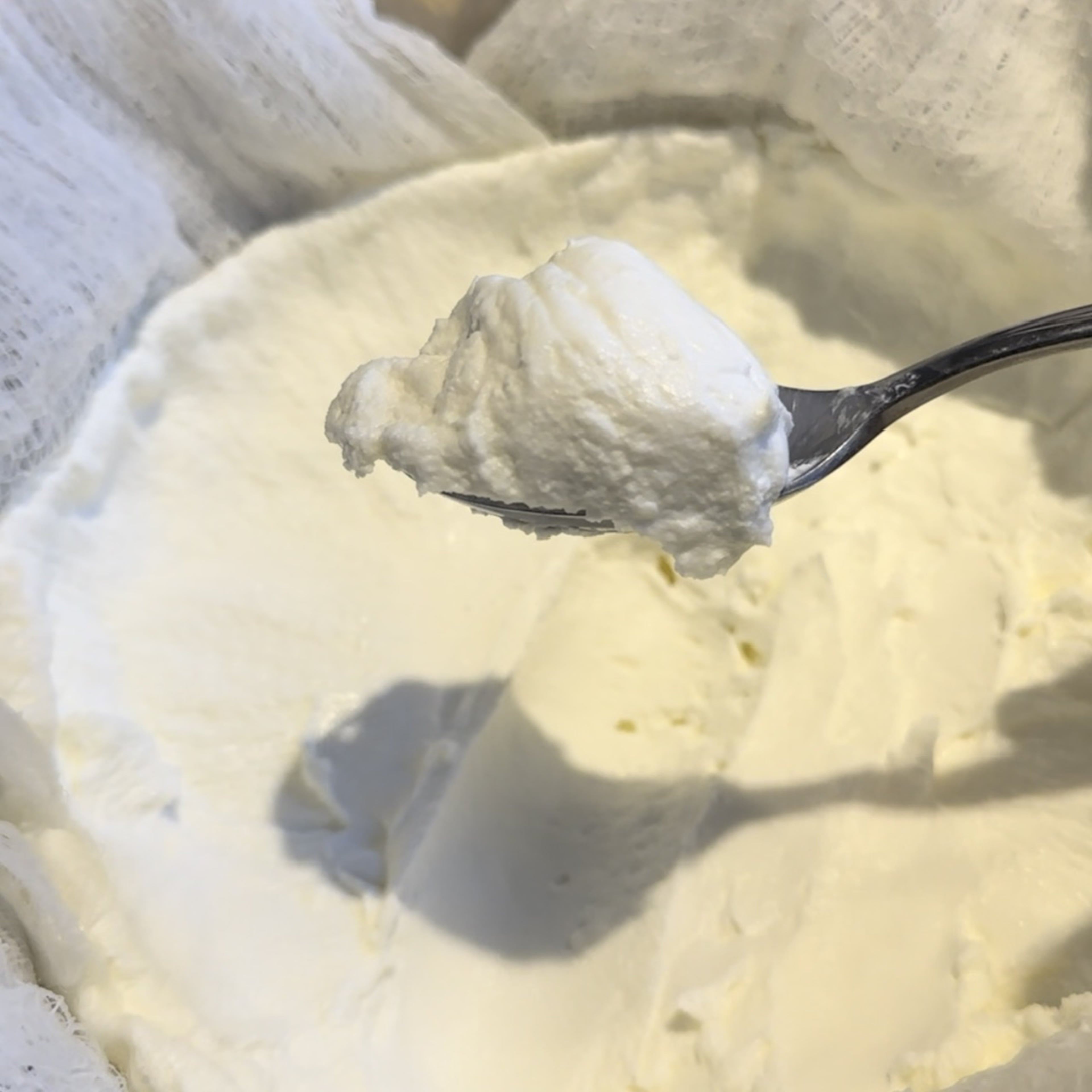 Photo of the Homemade Greek Yogurt in Instant Pot – recipe of Homemade Greek Yogurt in Instant Pot on DeliRec