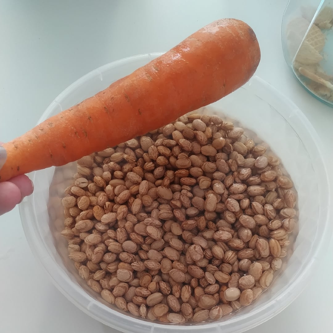 Photo of the Beans with carrots – recipe of Beans with carrots on DeliRec