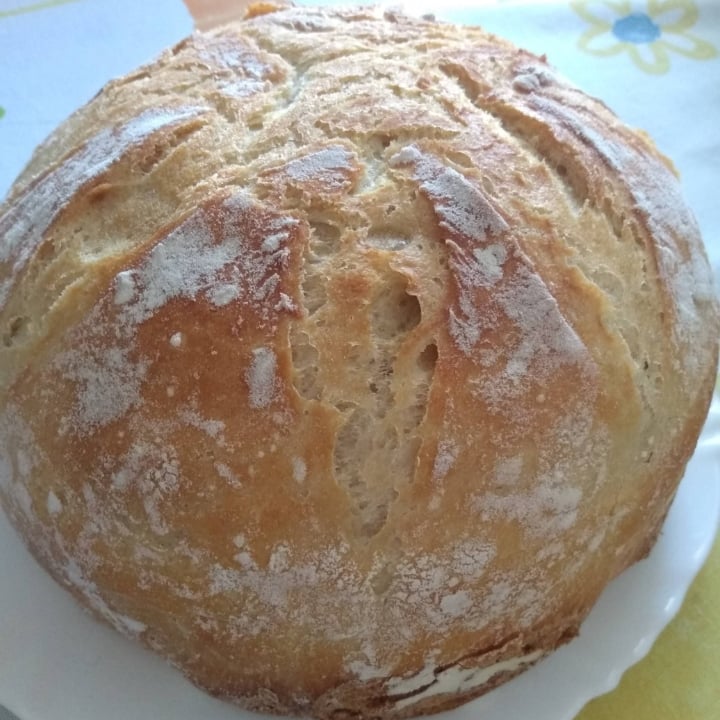 Photo of the Rustic bread – recipe of Rustic bread on DeliRec