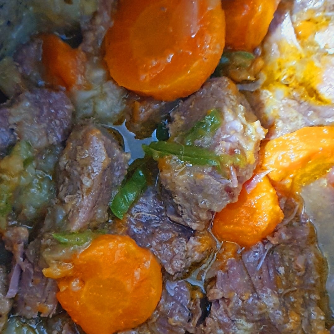 Photo of the Duckling in the pressure cooker with carrots – recipe of Duckling in the pressure cooker with carrots on DeliRec