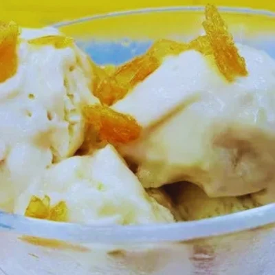 Recipe of Condensed milk pudding ice cream on the DeliRec recipe website