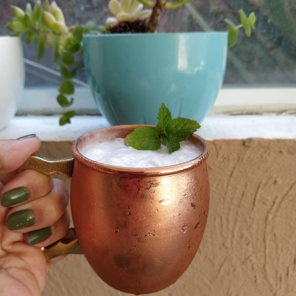 Photo of the Moscow Mule Vegan – recipe of Moscow Mule Vegan on DeliRec
