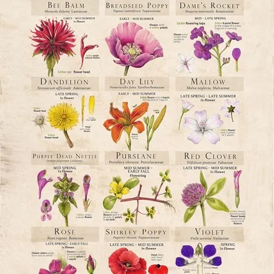 Conservas de flores (ajo, albahaca, jengibre...)
