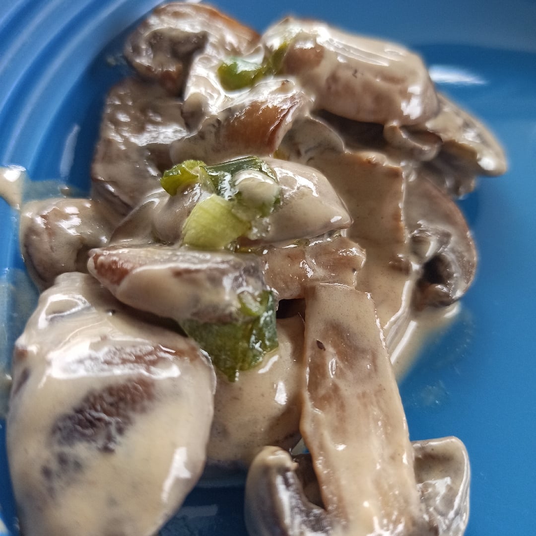 Photo of the Creamy Mushroom Sauce – recipe of Creamy Mushroom Sauce on DeliRec