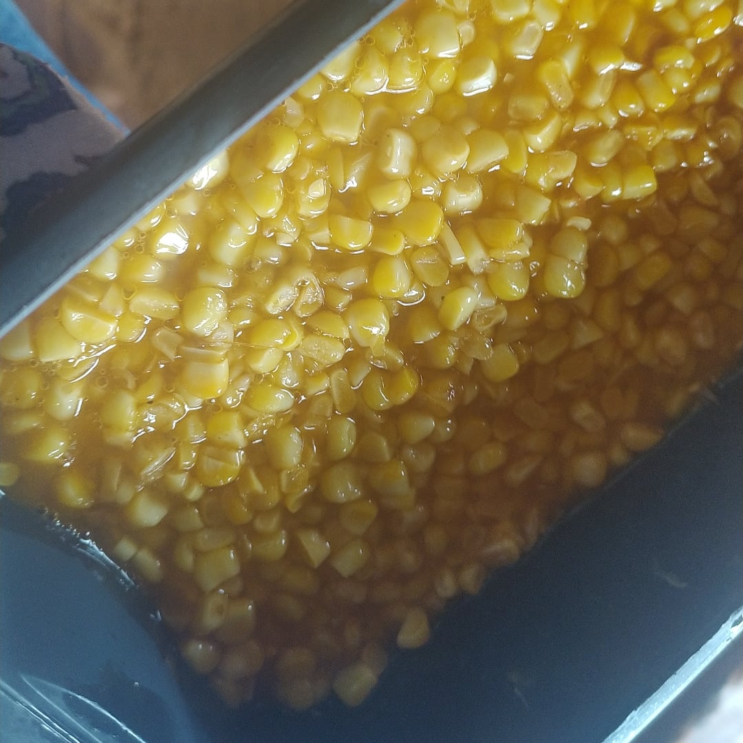 Photo of the drowned corn – recipe of drowned corn on DeliRec