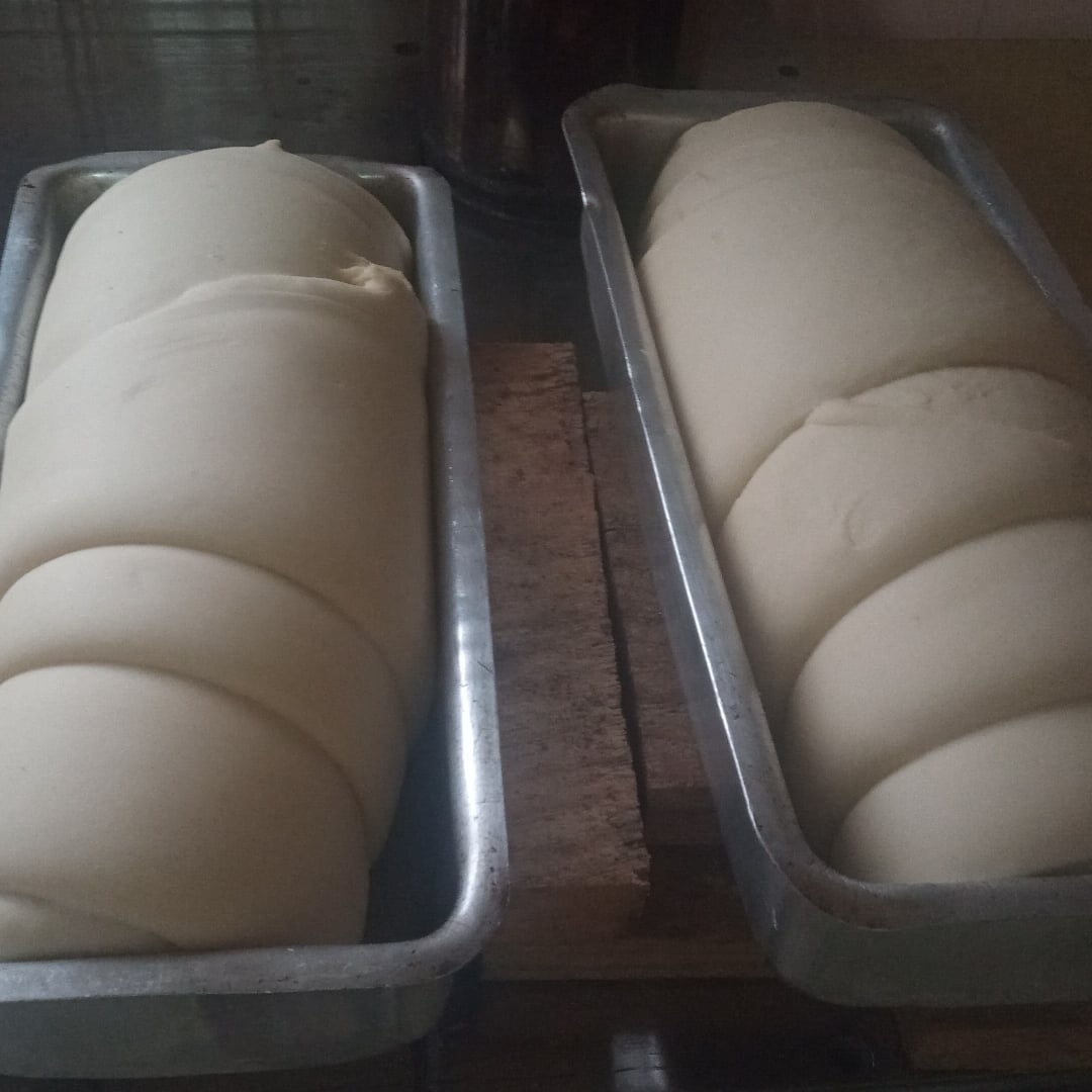 Photo of the Sourdough bread – recipe of Sourdough bread on DeliRec