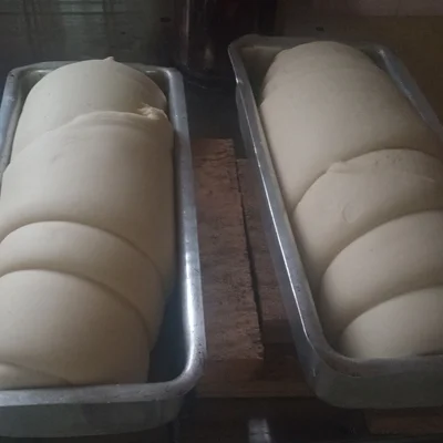Recipe of Sourdough bread on the DeliRec recipe website