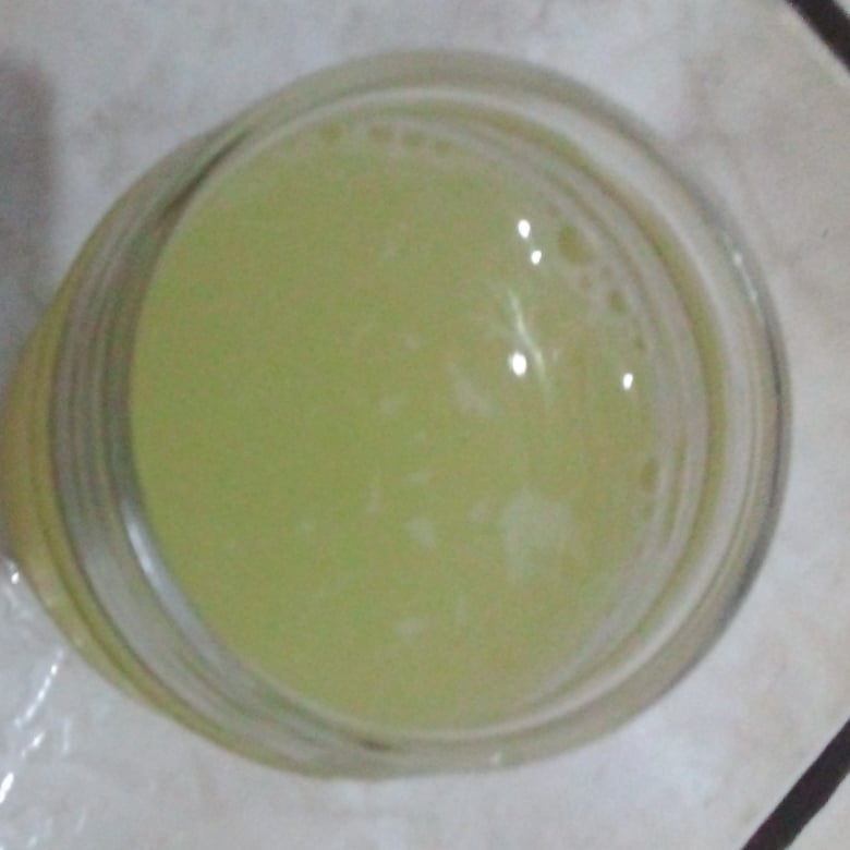 Photo of the Pineapple juice – recipe of Pineapple juice on DeliRec