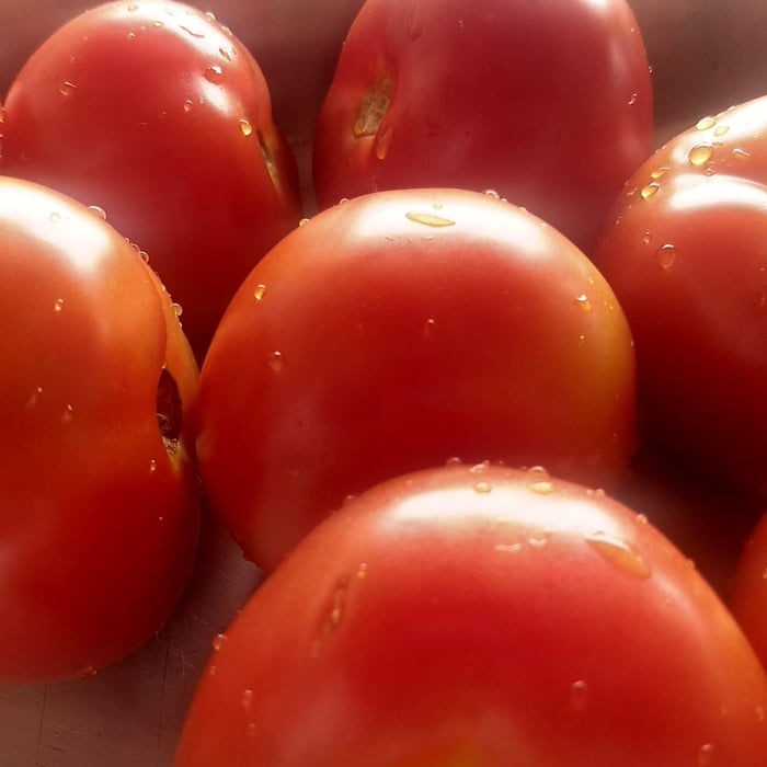 Photo of the dried tomato – recipe of dried tomato on DeliRec