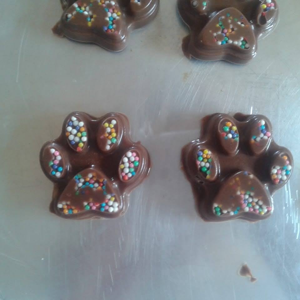 Photo of the chocolate paws – recipe of chocolate paws on DeliRec