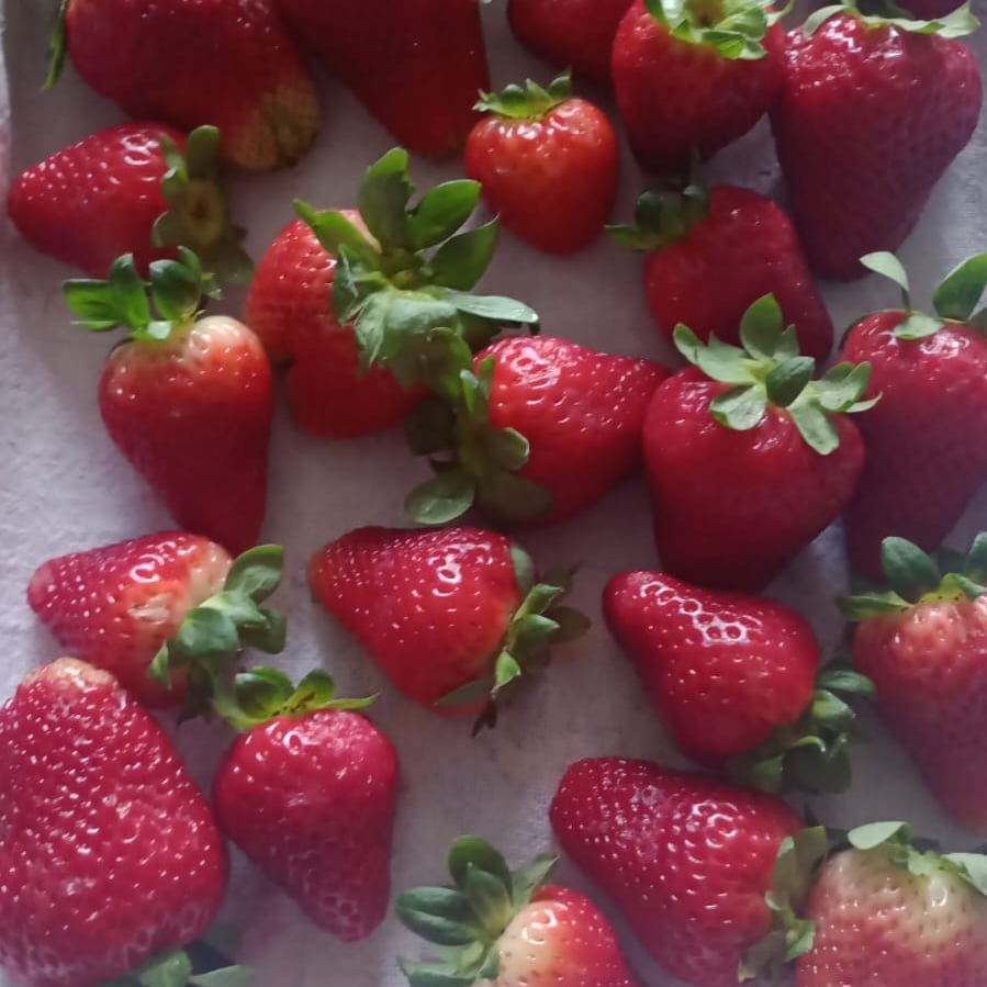 Photo of the How to store strawberries in the fridge – recipe of How to store strawberries in the fridge on DeliRec