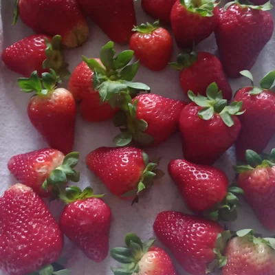 Recipe of How to store strawberries in the fridge on the DeliRec recipe website
