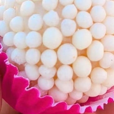 Photo of the White fudgeball – recipe of White fudgeball on DeliRec