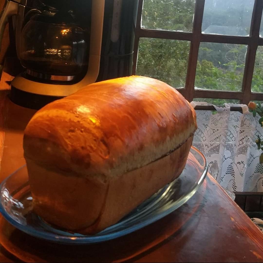 Foto da Pão de forma caseiro - receita de Pão de forma caseiro no DeliRec