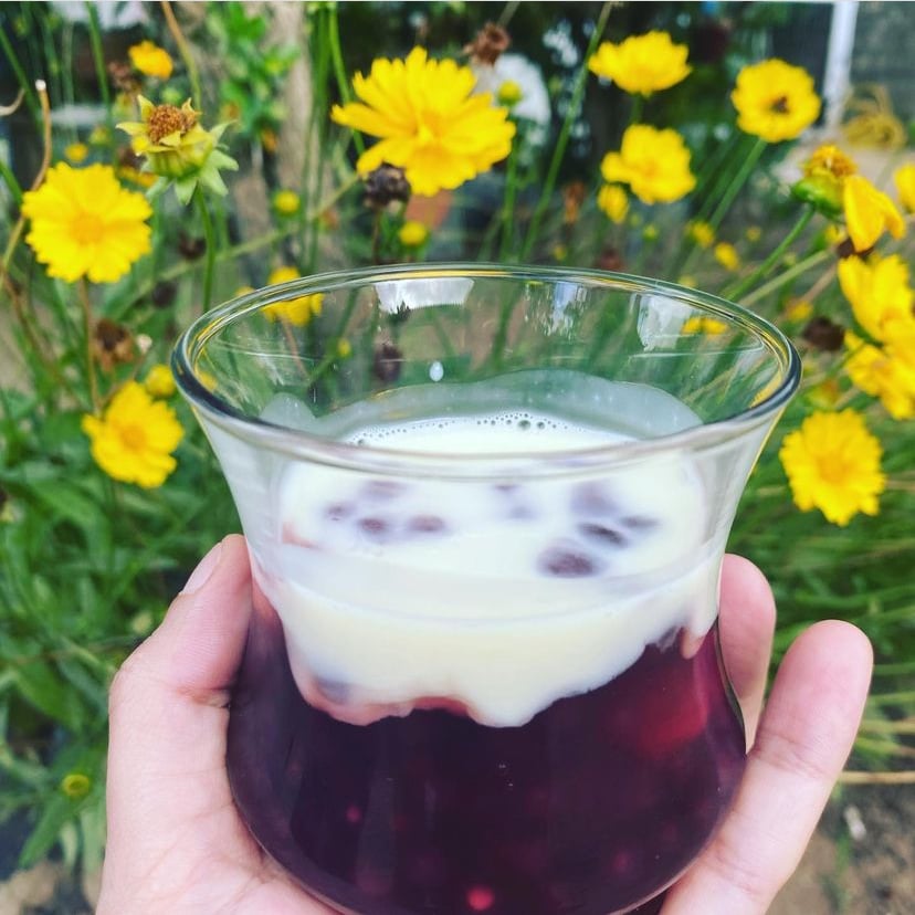 Foto della Vino Sago con crema inglese - ricetta di Vino Sago con crema inglese nel DeliRec