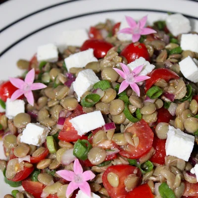 Ricetta di insalata di lenticchie festiva nel sito di ricette Delirec