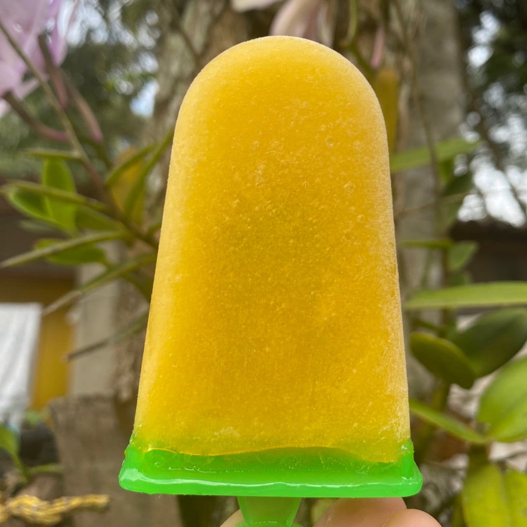 Photo of the FIT Mango Popsicle – recipe of FIT Mango Popsicle on DeliRec