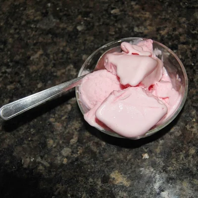 Recipe of practical homemade ice cream on the DeliRec recipe website