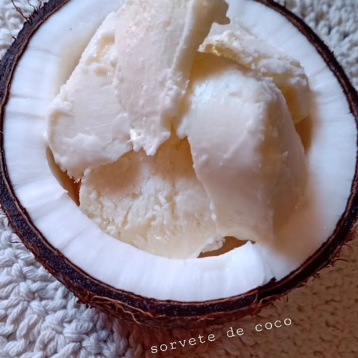 Photo of the Coconut ice cream (no emulsifier) – recipe of Coconut ice cream (no emulsifier) on DeliRec