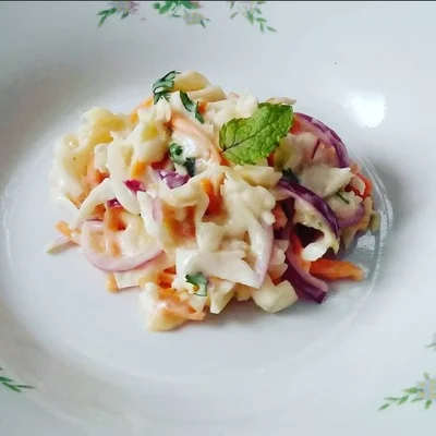 Recipe of Coleslaw Salad (adapted recipe) on the DeliRec recipe website