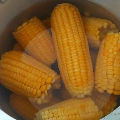 Recipe of Boiled corn on the DeliRec recipe website