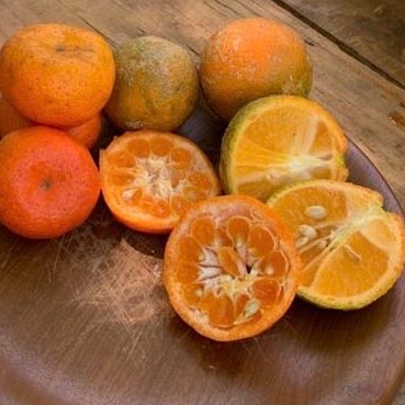 Photo of the citrus vinaigrette – recipe of citrus vinaigrette on DeliRec