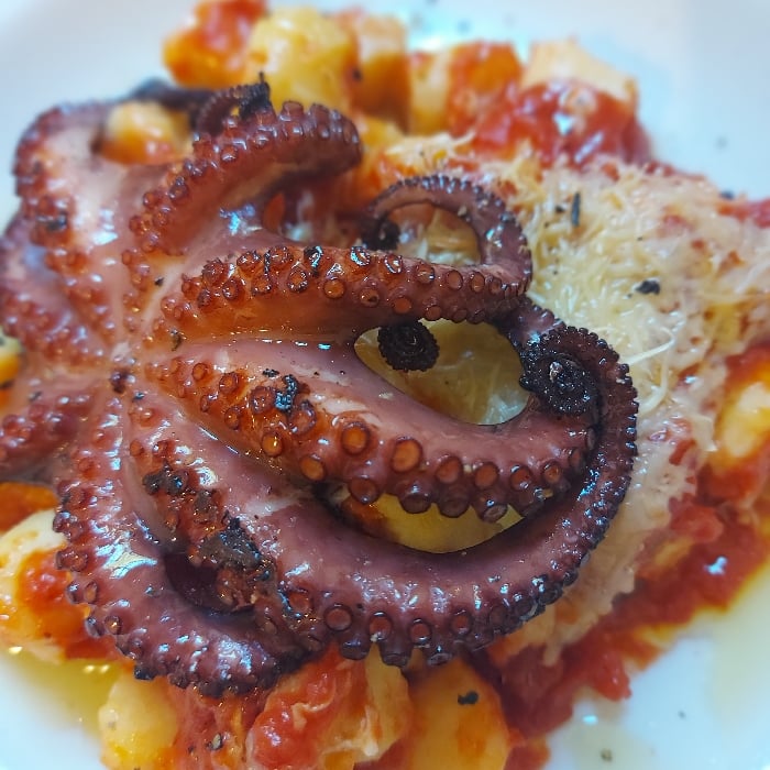 Photo of the Gnocchi with Octopus – recipe of Gnocchi with Octopus on DeliRec