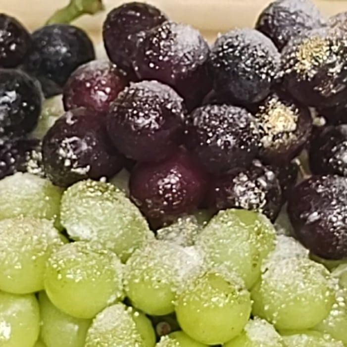 Photo of the snowy grapes – recipe of snowy grapes on DeliRec