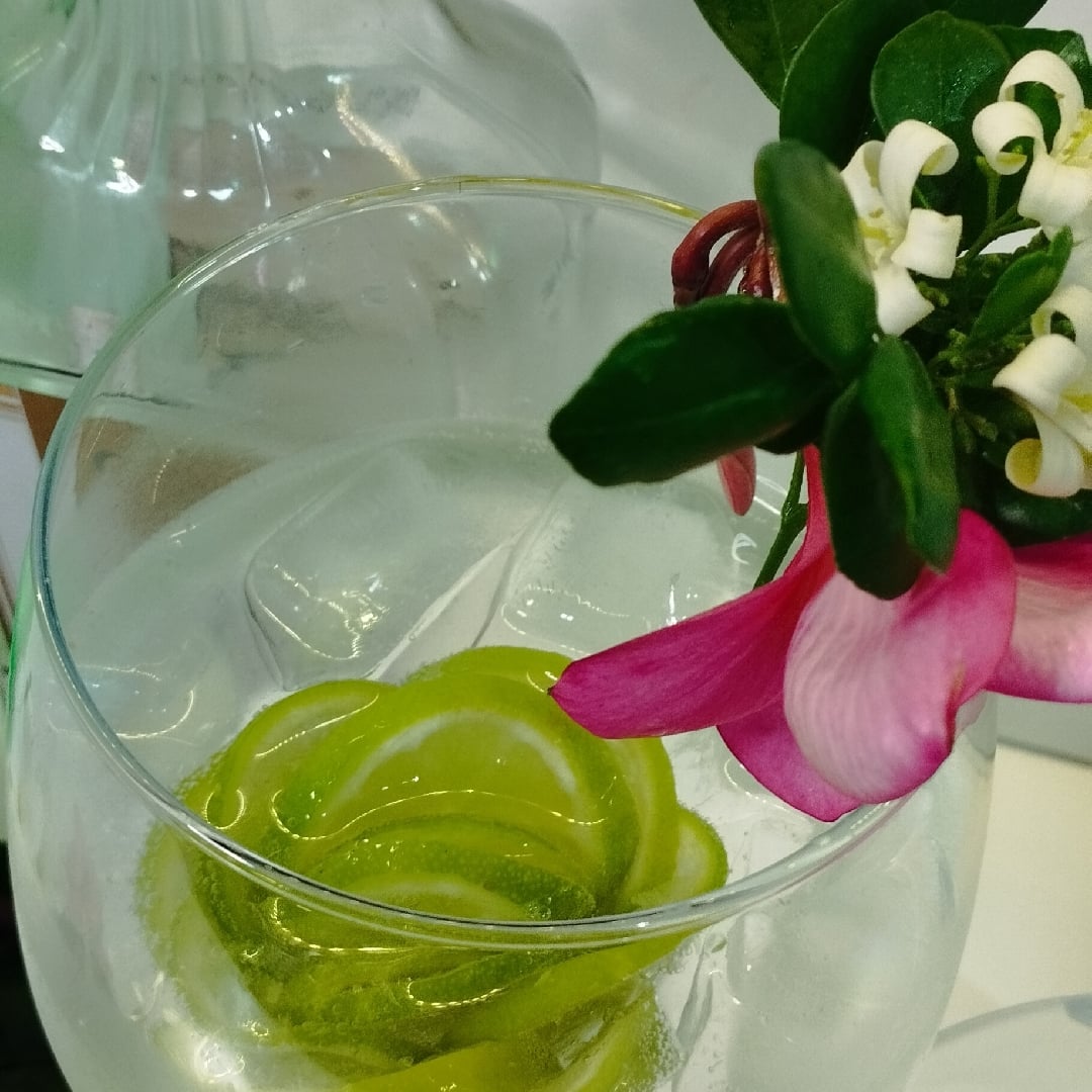 Photo of the Lemon flower drink 🍋 – recipe of Lemon flower drink 🍋 on DeliRec
