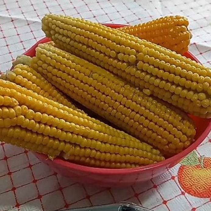 Photo of the yummy boiled green corn – recipe of yummy boiled green corn on DeliRec