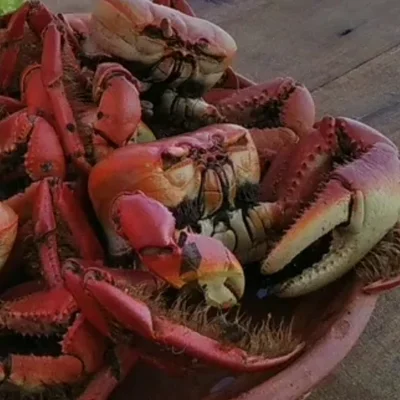 Recipe of Crab on the DeliRec recipe website
