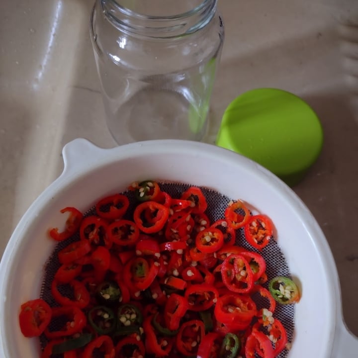 Photo of the Canned pepper girl's finger 🌶️ – recipe of Canned pepper girl's finger 🌶️ on DeliRec