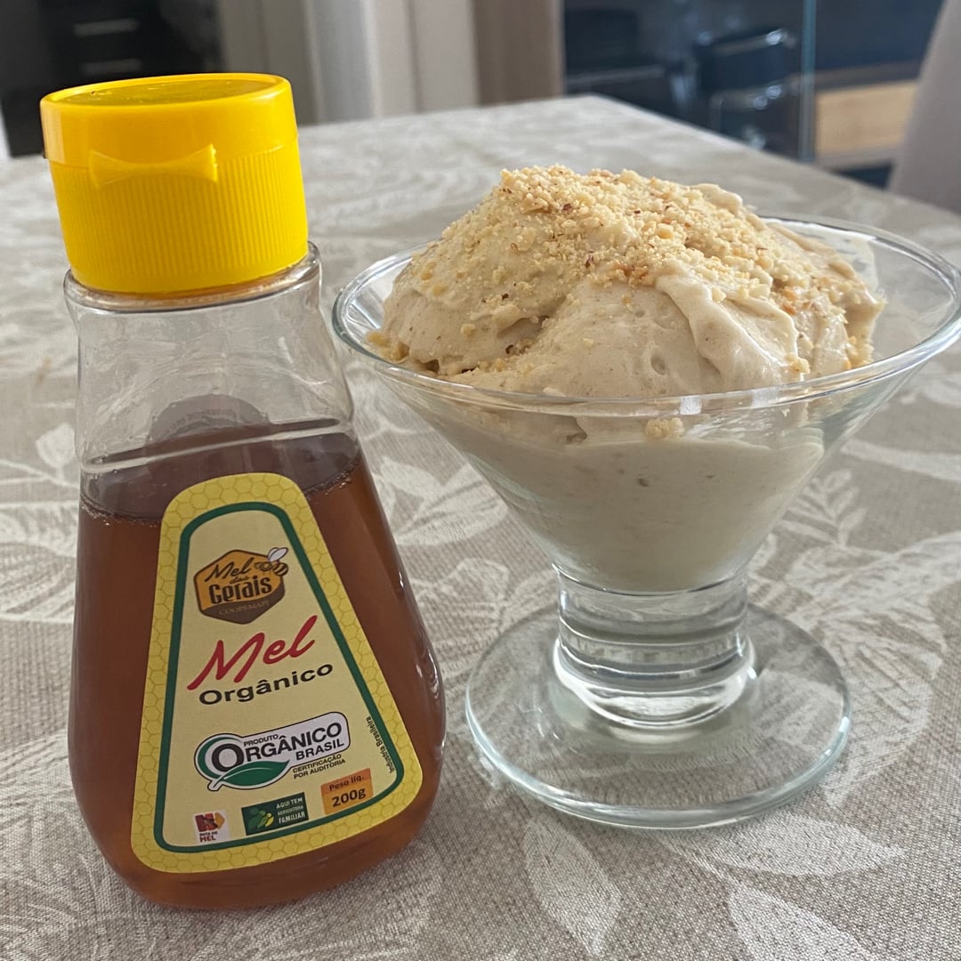 Photo of the Lactose-free Ice Cream with Organic Honey – recipe of Lactose-free Ice Cream with Organic Honey on DeliRec