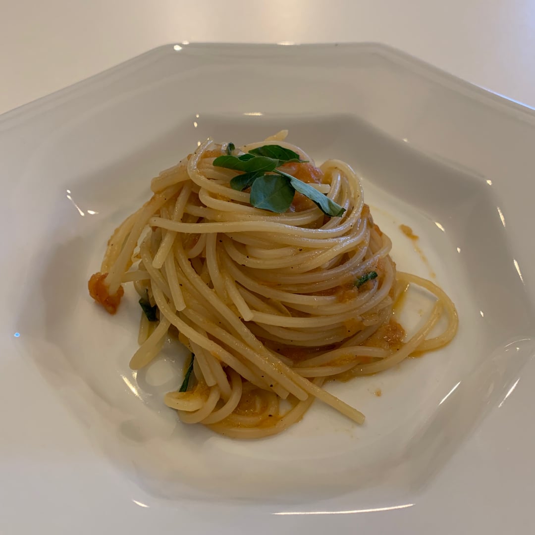 Foto da Spaghetti ao molho sugo  - receita de Spaghetti ao molho sugo  no DeliRec