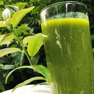 Recipe of Green Juice With Ora-Pro-Nobis on the DeliRec recipe website