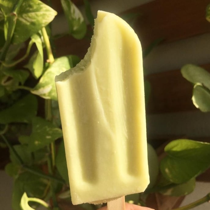 Photo of the healthy popsicle – recipe of healthy popsicle on DeliRec