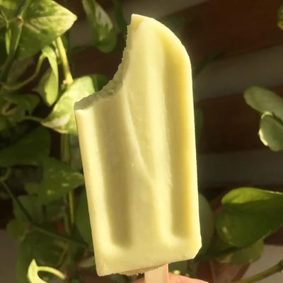 Recipe of healthy popsicle on the DeliRec recipe website