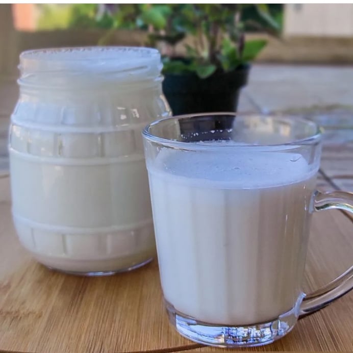 Photo of the homemade vegetable milk – recipe of homemade vegetable milk on DeliRec