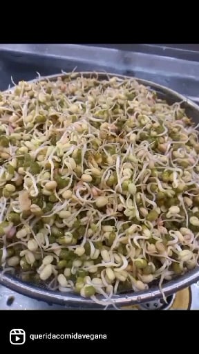 Photo of the sprouted green beans – recipe of sprouted green beans on DeliRec