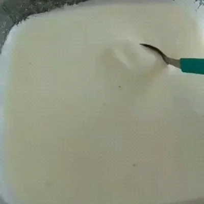 Recipe of Homemade yogurt on the DeliRec recipe website