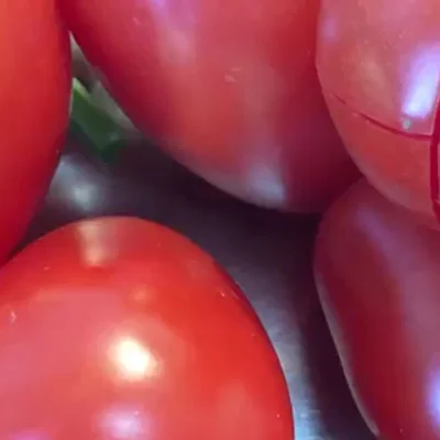 Recipe of Homemade fresh tomato ketchup on the DeliRec recipe website