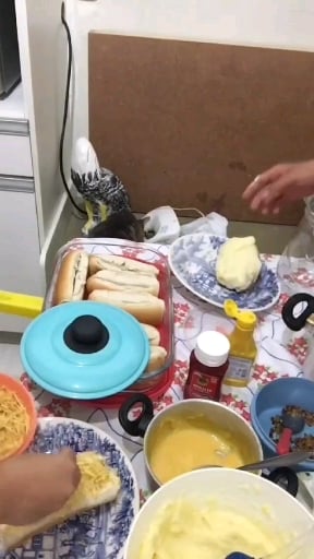 Photo of the simple hot dog – recipe of simple hot dog on DeliRec