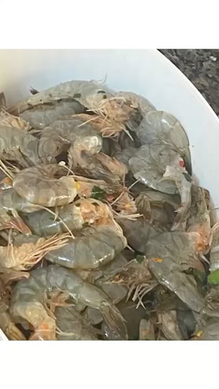 Photo of the Shrimp 🍤 – recipe of Shrimp 🍤 on DeliRec