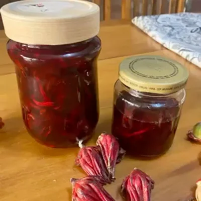 Recipe of canned hibiscus on the DeliRec recipe website
