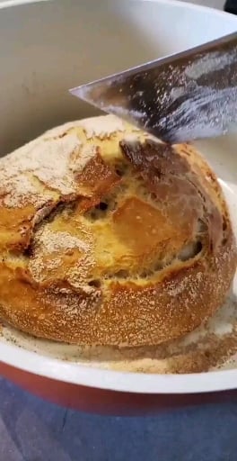 Photo of the Homemade artisan bread – recipe of Homemade artisan bread on DeliRec