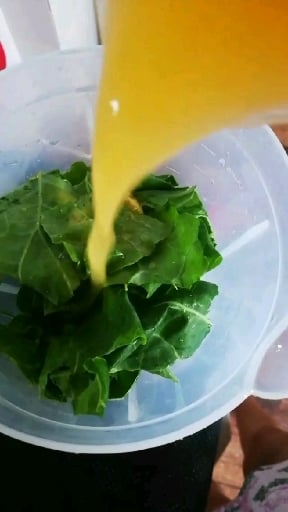 Photo of the special cabbage juice – recipe of special cabbage juice on DeliRec